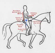 Places where rider comes in contact with the bicycle: 30 Correct Riding Positions Ideas Horses Horse Riding Tips Riding
