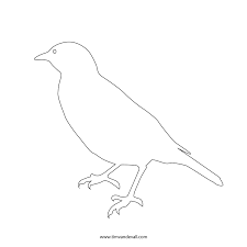 Jan 18, 2021 · considered a pest by some due to their aggressive behavior these birds fly in large noisy flocks and can be seen perched in groups on the top of trees or flying over fields in flocks. Bird Outline Tim S Printables