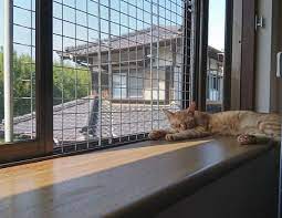 猫が網戸にするいたずら対策 登らせない 破かせない裏ワザ catchu きゃっちゅ 猫 網戸 対策 猫 猫 網戸