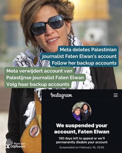 Faten Elwan is a hard working journalist who should get her account back. In the meantime follow her on @fatenelwan11 and @fatenelwan2025 And while you're at it also follow our backup @plant.eenolijfboom2