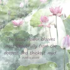 Gautama buddha > quotes > quotable quote. Spiritual Development And The Lotus Flower Earthmonk
