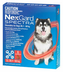 We offer the highest quality discount pet meds to help you save. Nexgard Spectra Chews For Dogs 66 1 132 Lbs 30 1 60 Kg Red 6 Chews Sierra Pet Meds