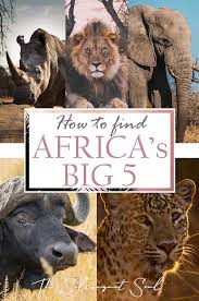 Where To Find Africa S Big Five The Solivagant Soul In 2020 Africa Travel Africa Visit South Africa