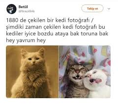 Selen Kirman Adli Kullanicinin Komik Panosundaki Pin Funny Comedy Ve Humor