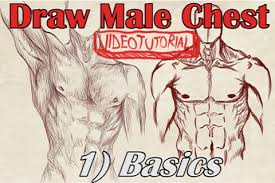 Primarily, there are three chest muscles involved in movement Videotutorial On Drawing The Male Chest Front View By Dex91 On Deviantart