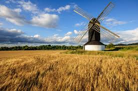 Immagini in diretta dei paesaggi più belli e attraenti di questi territori. Sfondi Estate Inghilterra Sole Inglese Eredita Mulino A Vento Campo Paesaggio Paesaggi Foto Di Legno Simpatico Nikon Inviare Immagine Agricoltura Immagine Soleggiato Storico Nazionale Fiducia Tring Dollari Il Piu Vecchio Ivinghoe
