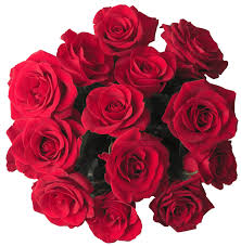 Browse 197 dozen red roses stock photos and images available, or search for valentines day or dozen roses to find more great stock photos and pictures. Central Market Dozen Roses Shop Central Market Dozen Roses Shop Central Market Dozen Roses Shop Central Market Dozen Roses Shop At H E B At H E B At H E B At H E B