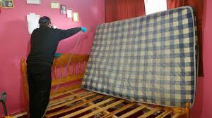 Pest control east london believe our cost for effective bed bug control london is reasonable and we constantly monitor industry prices to ensure it stays that way. Price Of Bed Bug Treatments