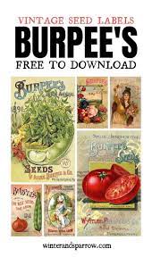 6 Burpee S Seed Packet Labels Free To Download Free Vintage Printables Vintage Labels Printables Free Free Printable Art