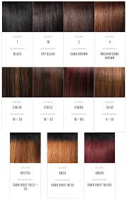 s1b 33 hair color lajoshrich com