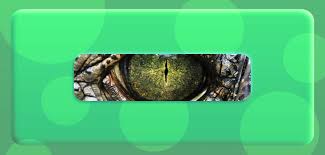 Become a part of our community of millions and ask any question that you do not find in our eye q&a library. Guess The Animal Quiz Answers Guess The Animal By Its Eyes Quiz Answers Videoquizhero