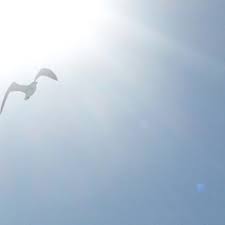 Nie jest to strona prowadzona przez ojca adama. Adam Szustak Op Piecdziesiatnica 2012 By Dominikanie