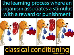 Classical Conditioning In 2020 Flashcards Science Flashcards Learning Process