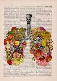 Pin By Lee Petrie On Art Human Anatomy Art Gcse Art Sketchbook Anatomy Art