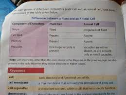 Check spelling or type a new query. With The Help Of Well Labelled Diagram Highlight Three Difference S Between Plant Cell And An Animal Brainly In