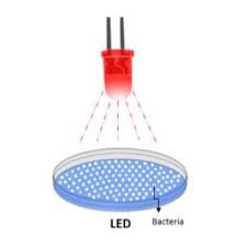 He said two other women aged 33 and 44, who suffered injuries were being. Pdf Effects Of Ultraviolet Light Emitting Diodes Uva Leds Irradiation On Escherichia Coli For Inactivation Of Microorganisms
