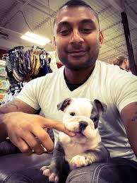 English bulldog puppy at 8 weeks old