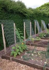 Can T Find The Original Source For This Image And Many Of The Other Pinned Version L Backyard Vegetable Gardens Vegetable Garden Design Small Vegetable Gardens