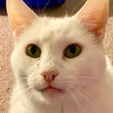 Leonard James Beans"