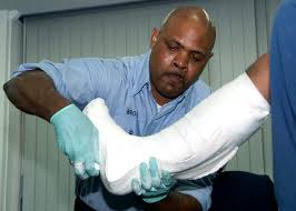 Image result for Brown 2009 Fleet