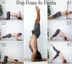 This yoga instructor certification includes an in depth courseware leading to an online exam. Getting Your Body Ready For Pincha Mayurasana Tag Your Friend Who Loves Getting Inverted Getting The Shoulders Open Tag Your Friend Pincha Mayurasana Body