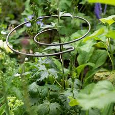 We are a family owned company who manufacture totally british heavy duty solid steel plant supports. Harrod Spiral Plant Support Harrod Horticultural