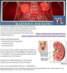Kidney Detox Essential Oils Kidney Stones Essential Oils Detox Essential Oils Kidney