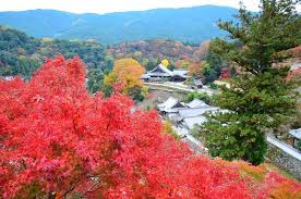 2020年はどこに行く 奈良の紅葉スポットおすすめ12選 Lineトラベルjp 旅行ガイド