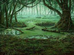 ★ with our new live wallpaper, you get: Swamp Computer Wallpapers Top Free Swamp Computer Backgrounds Wallpaperaccess