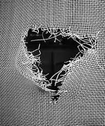 You'll be saving time by having us repair your window and sliding door screens since all you'll need to do is pick up the phone and give us a call for a free estimate. Delaware Residential Commercial Storefront Glass Screen Mirror Repair Replacement Glass Replacement Windows Mirrors Plate Glass Insulated Glass Plexiglas Glass Shower Door Enclosures Eze Breeze Enclosures Eastern Shore Bethany Ocean City Md