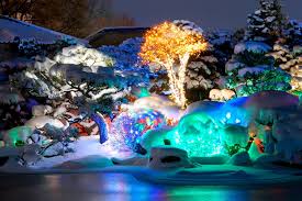 Denver Botanic Gardens Is The Most Enchanting Place In Denver Denver Vacation Colorado Winter Denver Christmas