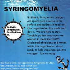 Pin On Worldwide Syringomyelia Chiari Task Force Posters
