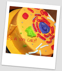 Picture of a plant cell cake. Plant Cell Cake Free Image Download