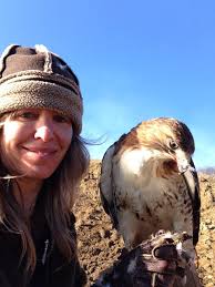 Youth falconry programs for beginners in Arizona?