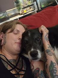 Lost Black Dog Found at Edgewood DG