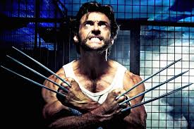 Image result for wolverine