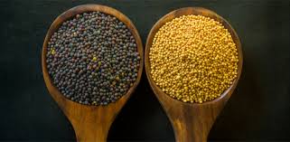 Mustard oil (sarso oil) health benefits benefits for skin and beauty benefits for hair unique ways to health benefits of mustard oil (sarso oil). India S Mustard Seeds Production Likely To Rise Import Of Edible Oil May Reduce Deccan Herald