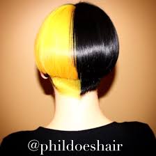 Yellow Black Hair Pixie Goldwell Aveda Elumen Wella Pravana Joico Black Hair Dye Hair Color Orange Pink Hair Dye