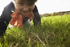 195+ Thousand Children English Royalty-Free Images, Stock Photos & Pictures 