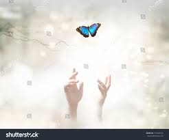Into The Light Metaphorical Ethereal Background Soul Release And Freedom Concept Ethereal Background Light Metaphori Lights Background Ethereal Stock Photos