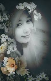 MEDIA TANAM TANAMAN HIAS