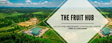 Hbs evergreen tours sdn bhd booking unavailable on tripadvisor. Fruit Juices Supplier Selangor Fresh Fruits Supply Malaysia Durian Nangka Supplies Kuala Lumpur Kl Pahang Sunfresh Fruit Hub Sdn Bhd