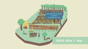 They are grown for various industrial reasons, and are subsequently used as raw materials in production. Salm Sustainable Agricultural Land Management Youtube