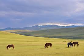We have now placed twitpic in an archived state. 12 Reasons To Visit Mongolia Where Charlie Wanders