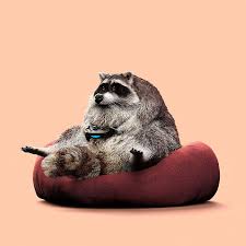 Chinese Artist Creates Images Of Slothful Animals To Parody How Lazy This Generation Is Becoming Lazy Animals Quirky Illustration Chinese Artists