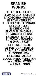 Spanish greeting body language is pretty important to consider before visiting the country. 310 Spanish Ideas How To Speak Spanish Learning Spanish Spanish Language Learning