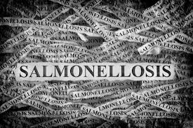 Multistate outbreak of salmonella enteritidis infections linked to ground beef (final update). Study Looks At Usa Outbreaks Of Foodborne Salmonella Enteritidis From 1990 2015 Food Safety News