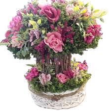 Check spelling or type a new query. Rose Topiary In Basket 23x17x32cm H R005 45b Ld0720 Buy Online At Best Prices In Srilanka Daraz Lk