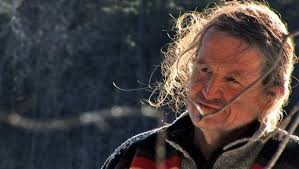 Image result for stephen jenkinson