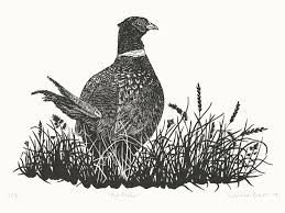 Pheasant Limited Edition Relief Print — Louise Barr • Printmaker